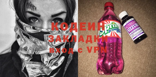 гидра Вязьма
