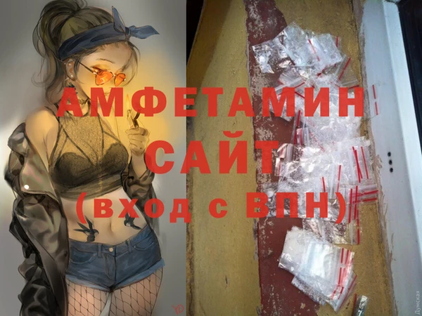 гидра Вязьма