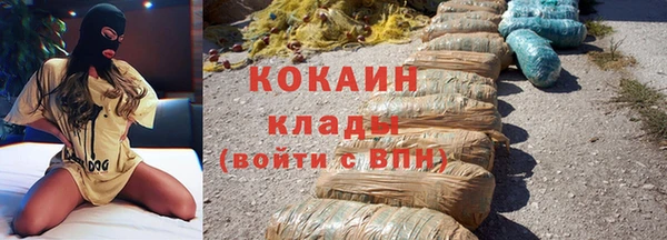 гидра Вязьма