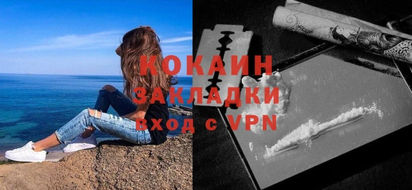 гидра Вязьма