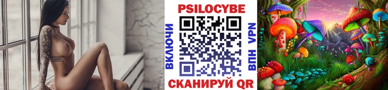Псилоцибиновые грибы мухоморы  где купить наркоту  Десногорск 